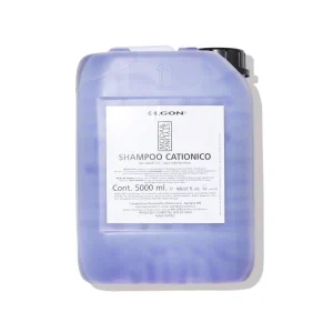 Shampoo Catiónico Tanika 5 L